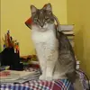 Отзыв от Нелли Голикова